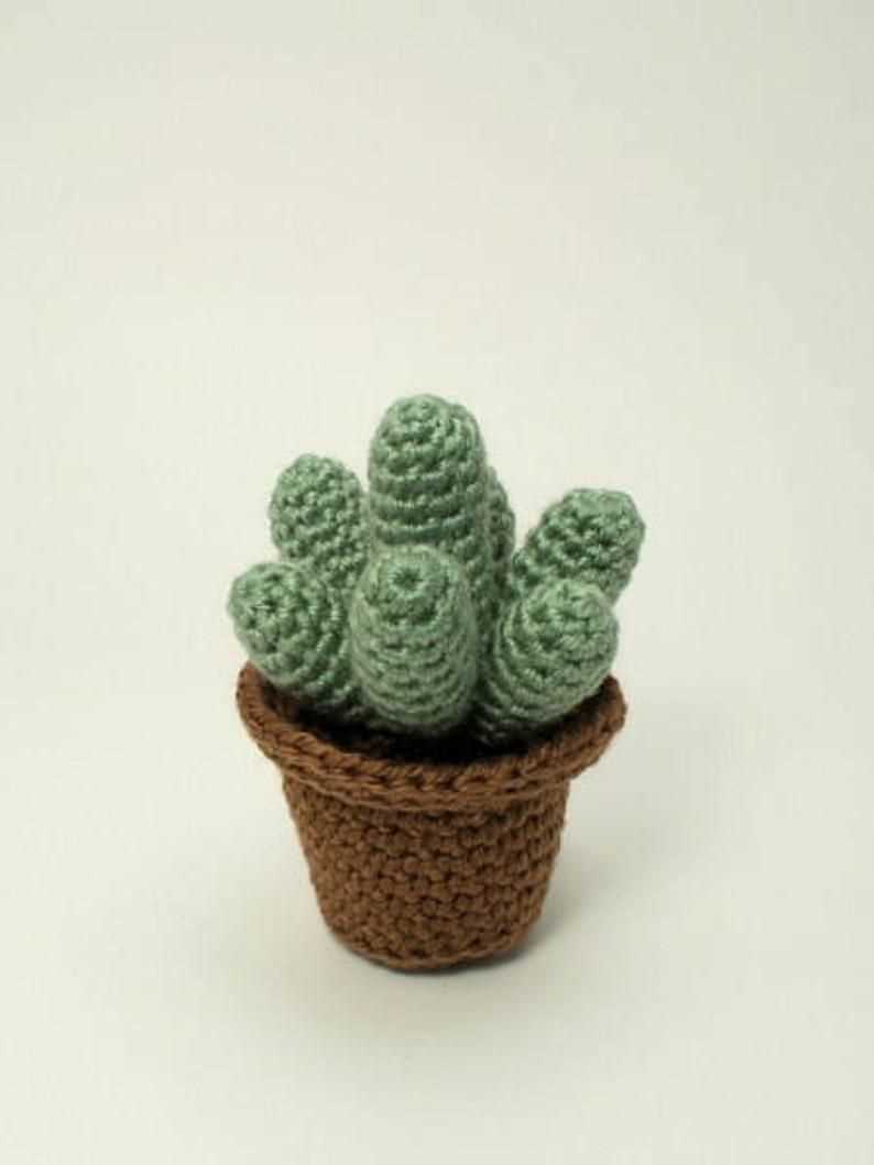 Knit cactus pattern free