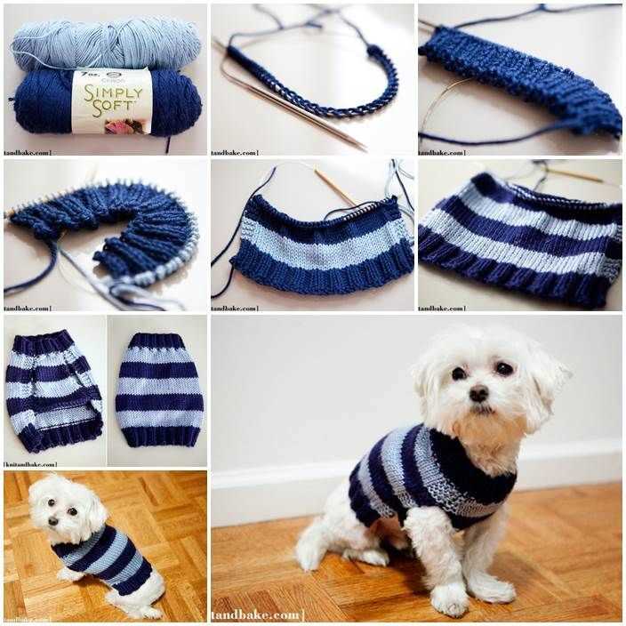 Dog clothes knitting patterns free