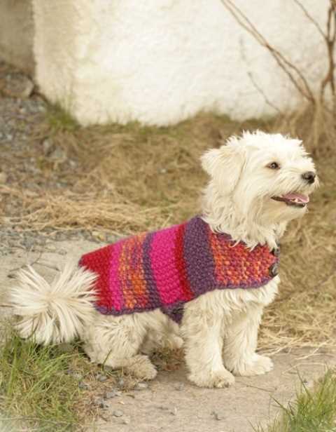 Dog poncho knitting pattern