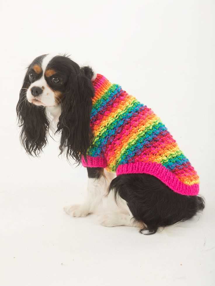 Dogs knitted coats free patterns