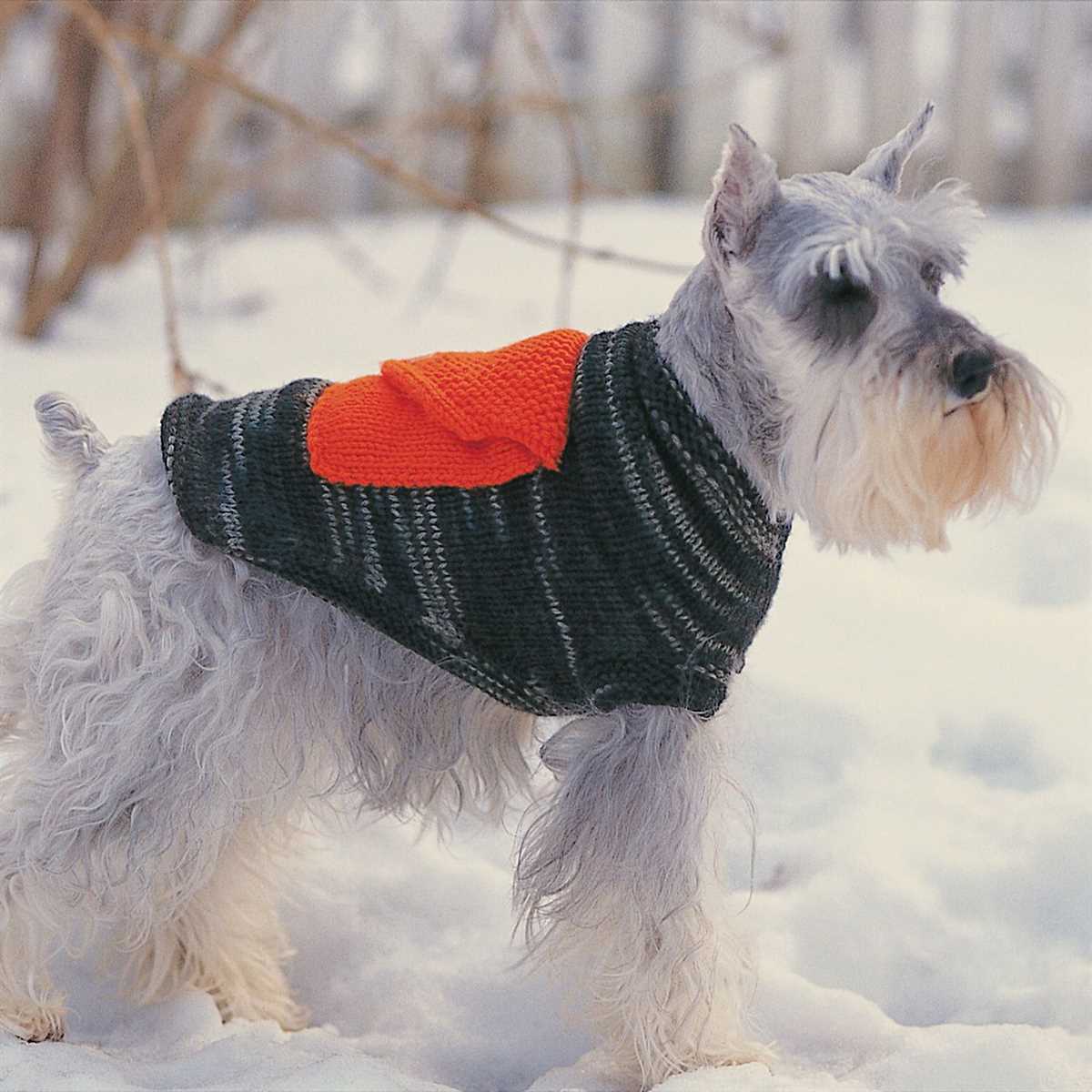 Free large dog sweater knitting pattern