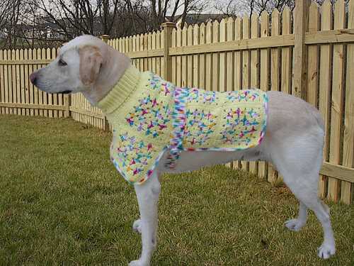 Dog poncho knitting pattern