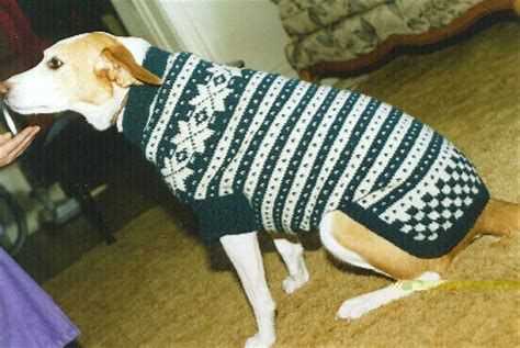 Chunky dog sweater knitting pattern