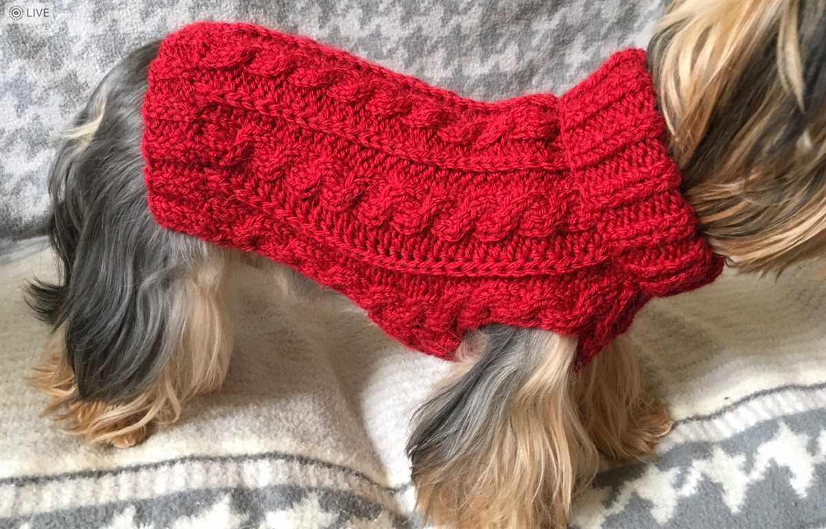 Cat coat knitting pattern
