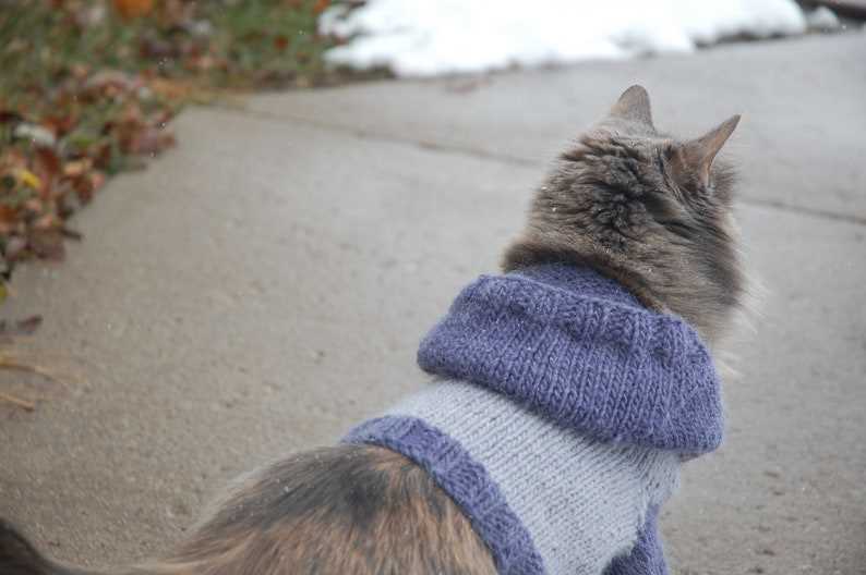 Cat sweater knitting pattern free