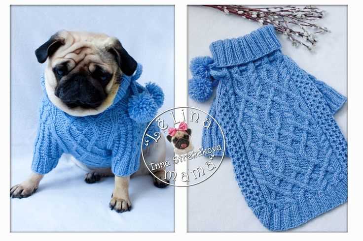 Dog cardigan knitting pattern