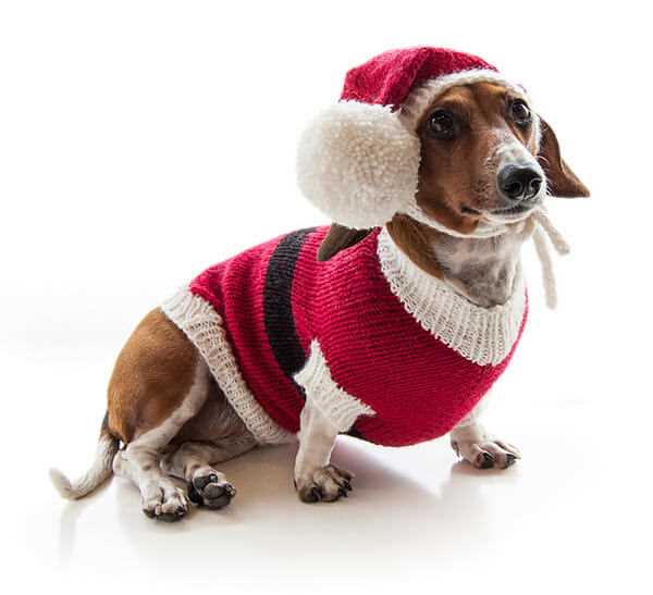 Dog christmas jumper knitting pattern
