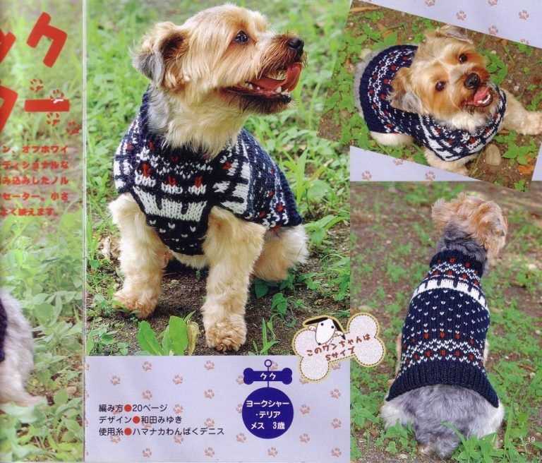 Dog clothes knitting patterns free