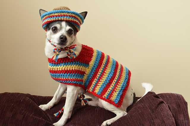 Dog poncho knitting pattern