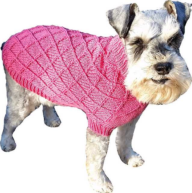 Dog sweater knitting pattern ravelry