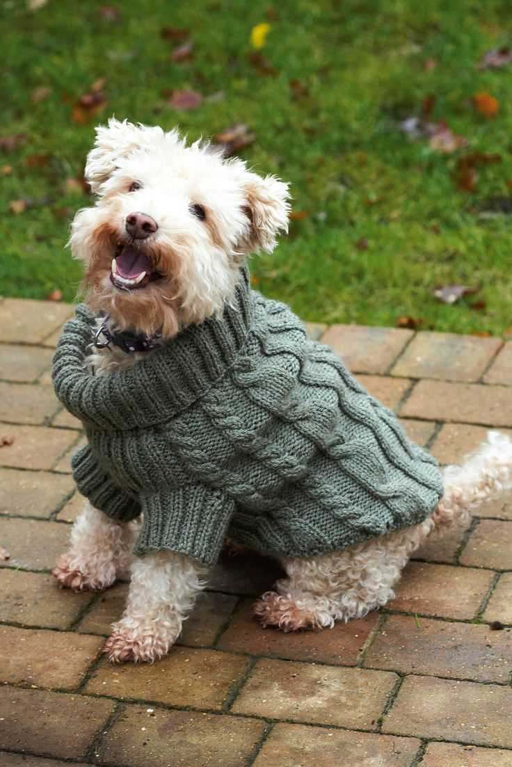 Dog sweater pattern knit