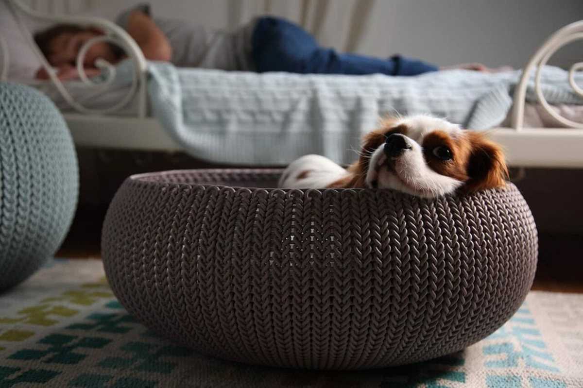 Dog bed knitting pattern