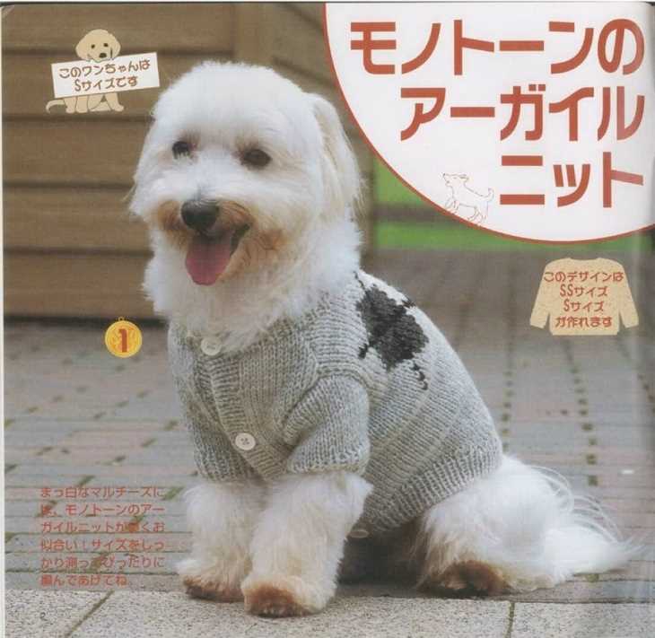 Dog clothes knitting patterns free