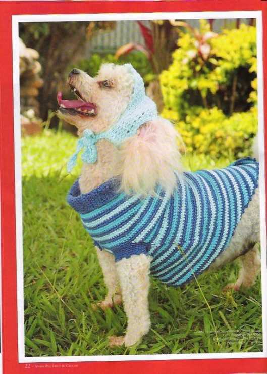 Dog clothes knitting patterns free