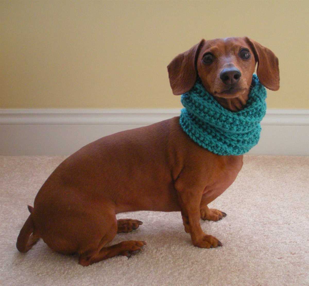 Dog cowl knit pattern