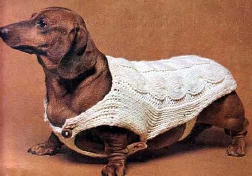 Dog cowl knit pattern