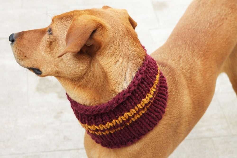 Dog cowl knit pattern