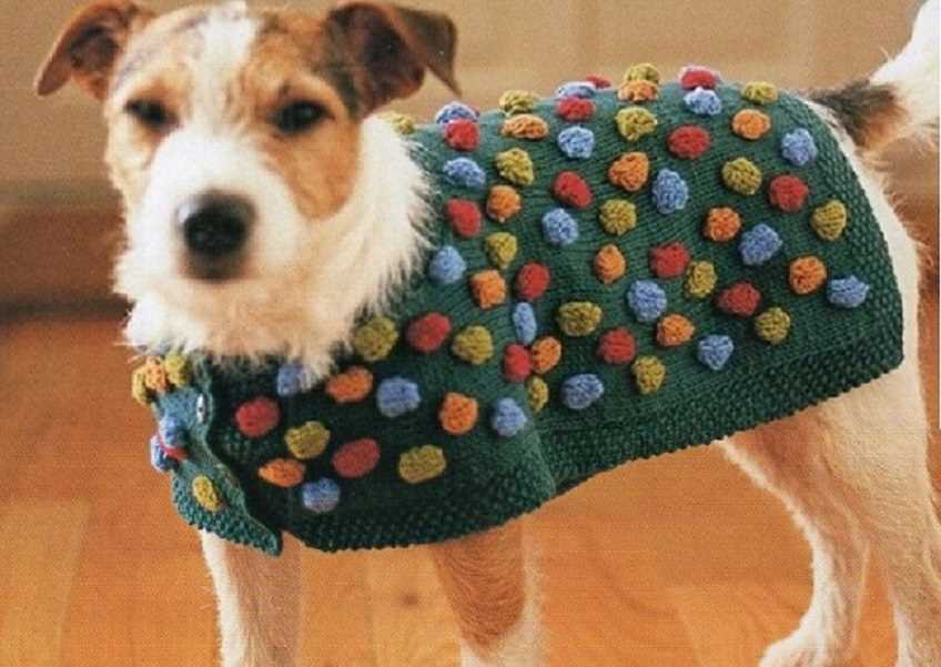 Dog knitting pattern