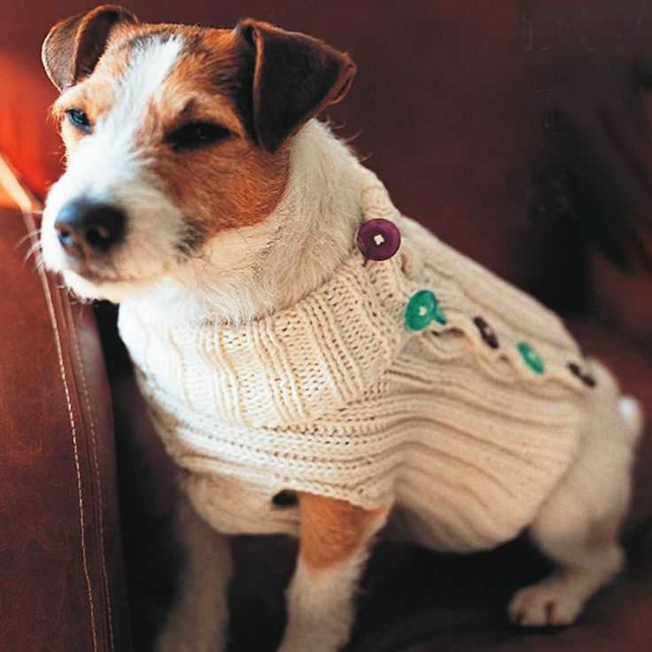 Create your own adorable dog with this knitting pattern Dog knitting pattern