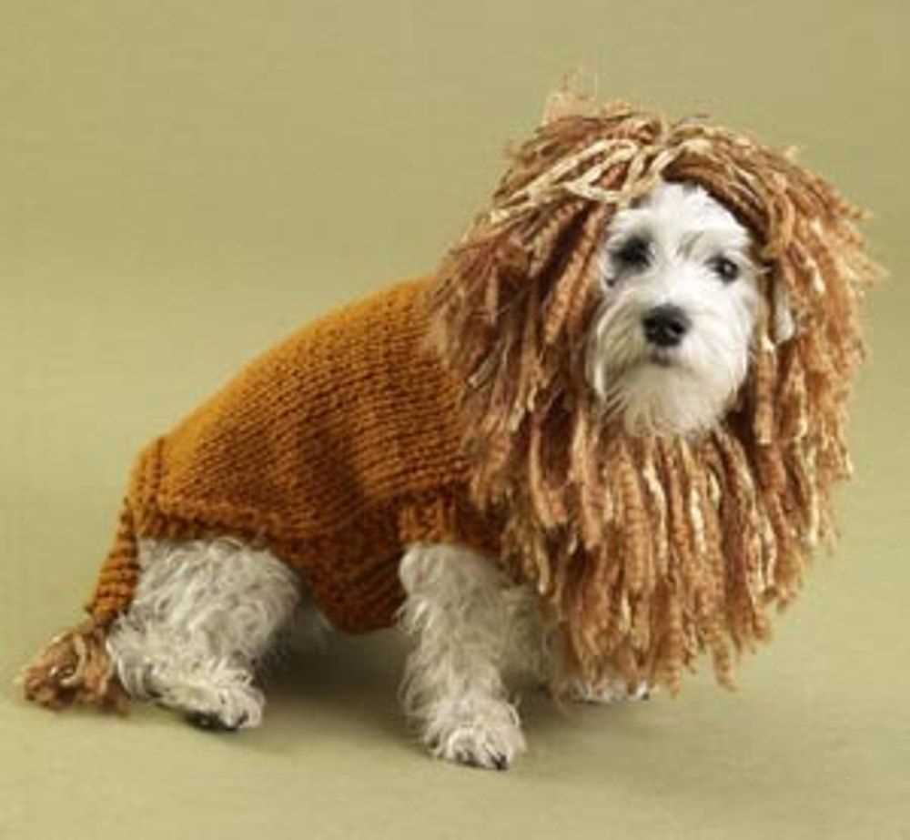 Dog sweater knitting pattern ravelry