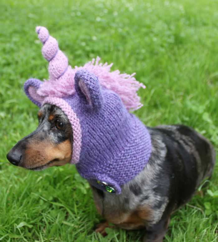 Dog vest knitting pattern