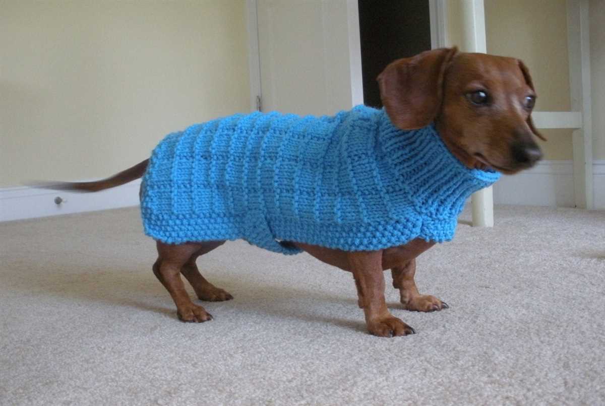 Dog vest knitting pattern