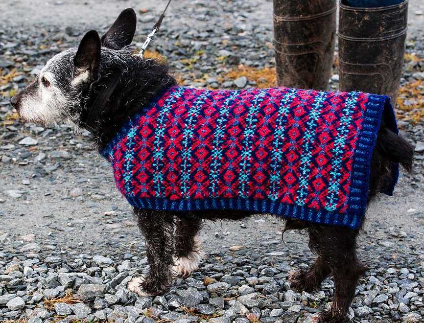 Dogs knitted coats free patterns