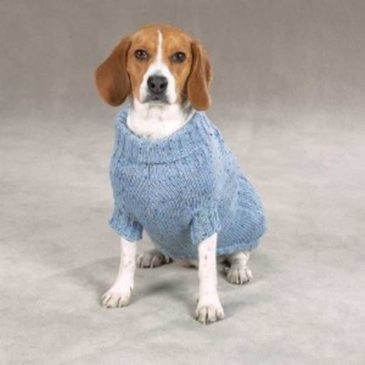 Dogs knitted coats free patterns