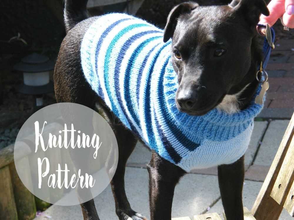 Dogs knitted coats free patterns