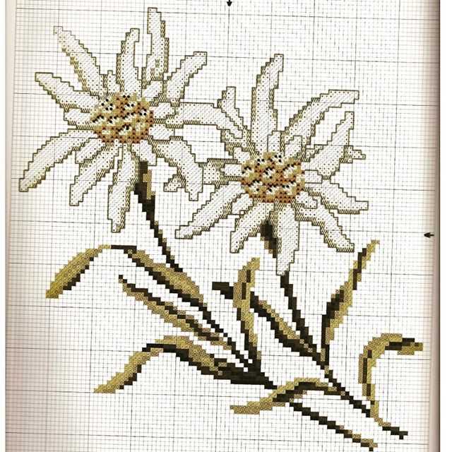 Edelweiss stitch knitting pattern