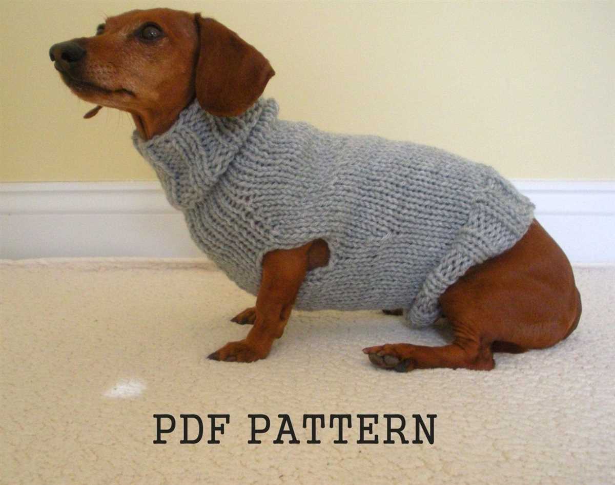 Free knitting pattern for dachshund dog jumper