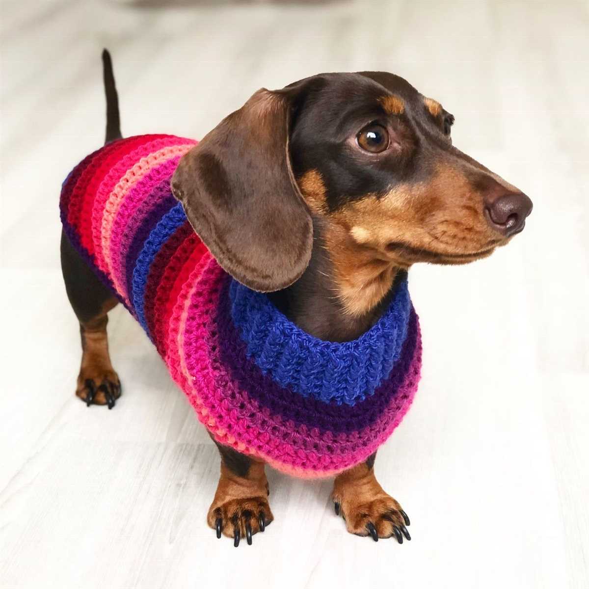 Free knitting pattern for dachshund dog jumper