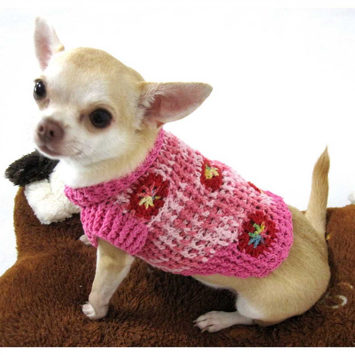 Free knitting patterns for chihuahua dogs
