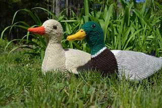 Free large duck knitting pattern
