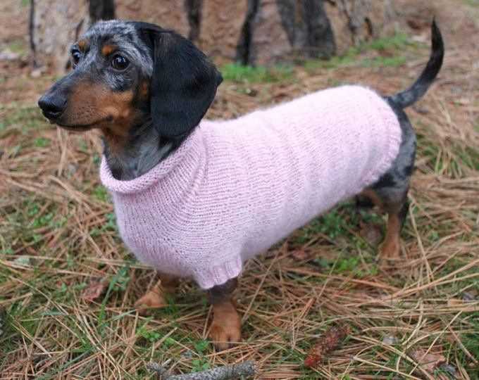 Free knitting pattern for dachshund dog jumper