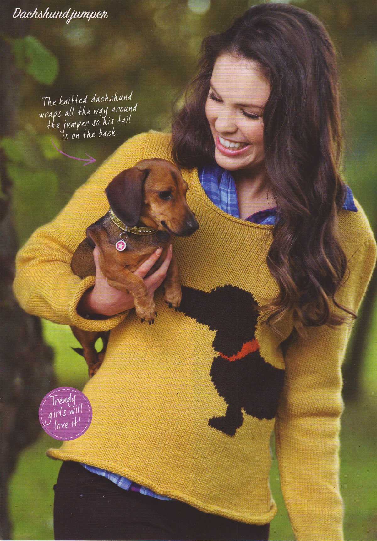 Free knitting pattern for dachshund jumper
