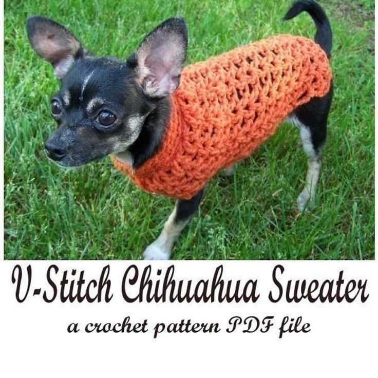 Free knitting patterns for chihuahua dogs