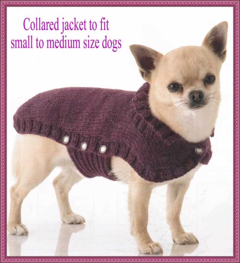 Stylish and Cozy - Knitting Patterns for Chihuahua Dogs Free knitting patterns for chihuahua dogs
