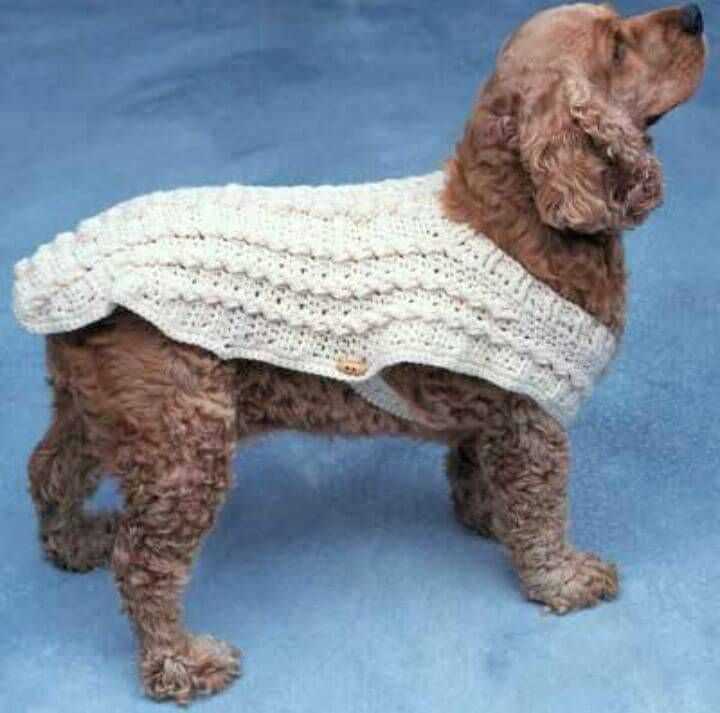 Free large dog sweater knitting pattern