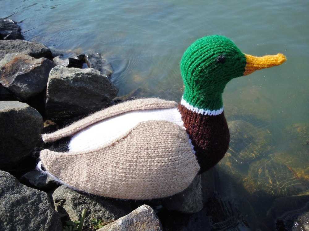 Free large duck knitting pattern