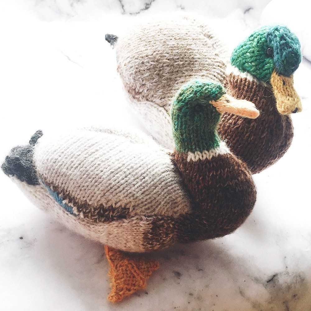 Free large duck knitting pattern