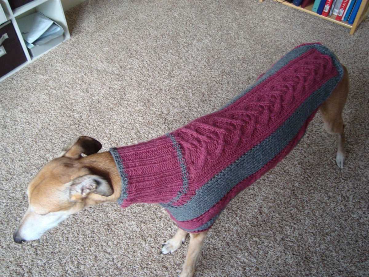 Greyhound knitting pattern coat