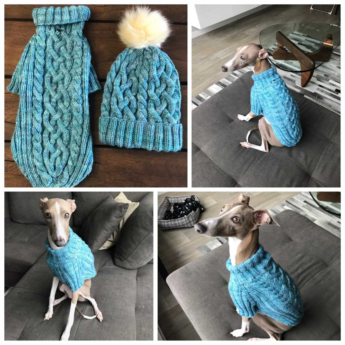 Greyhound knitting pattern coat