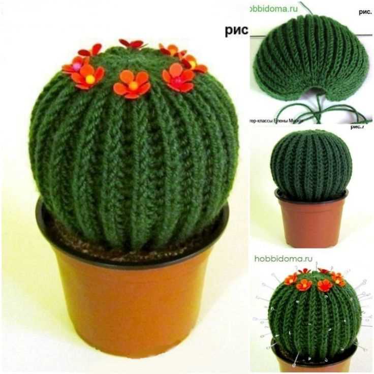 Knit cactus pattern free
