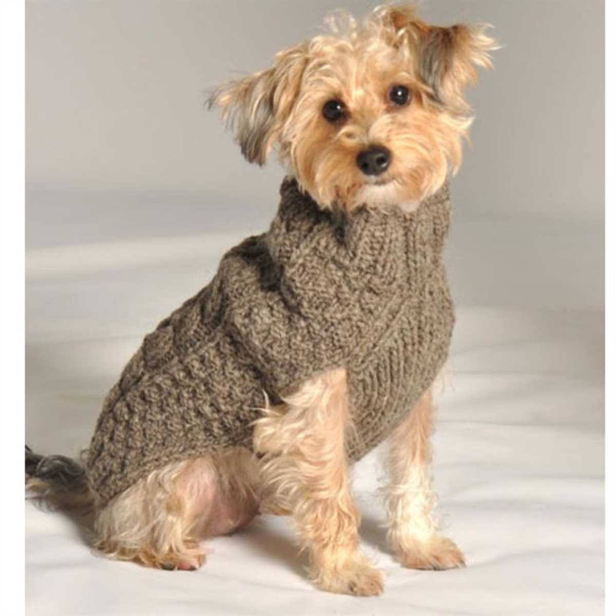 Knit pattern dog sweater