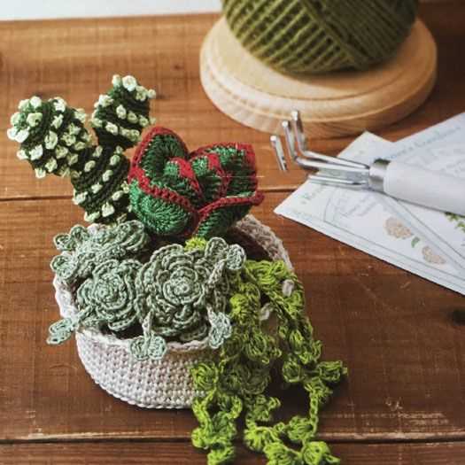Knit succulent pattern