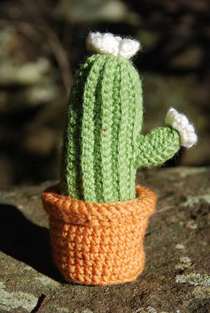Knit cactus pattern free