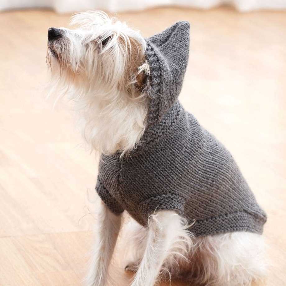 Knit pattern dog sweater