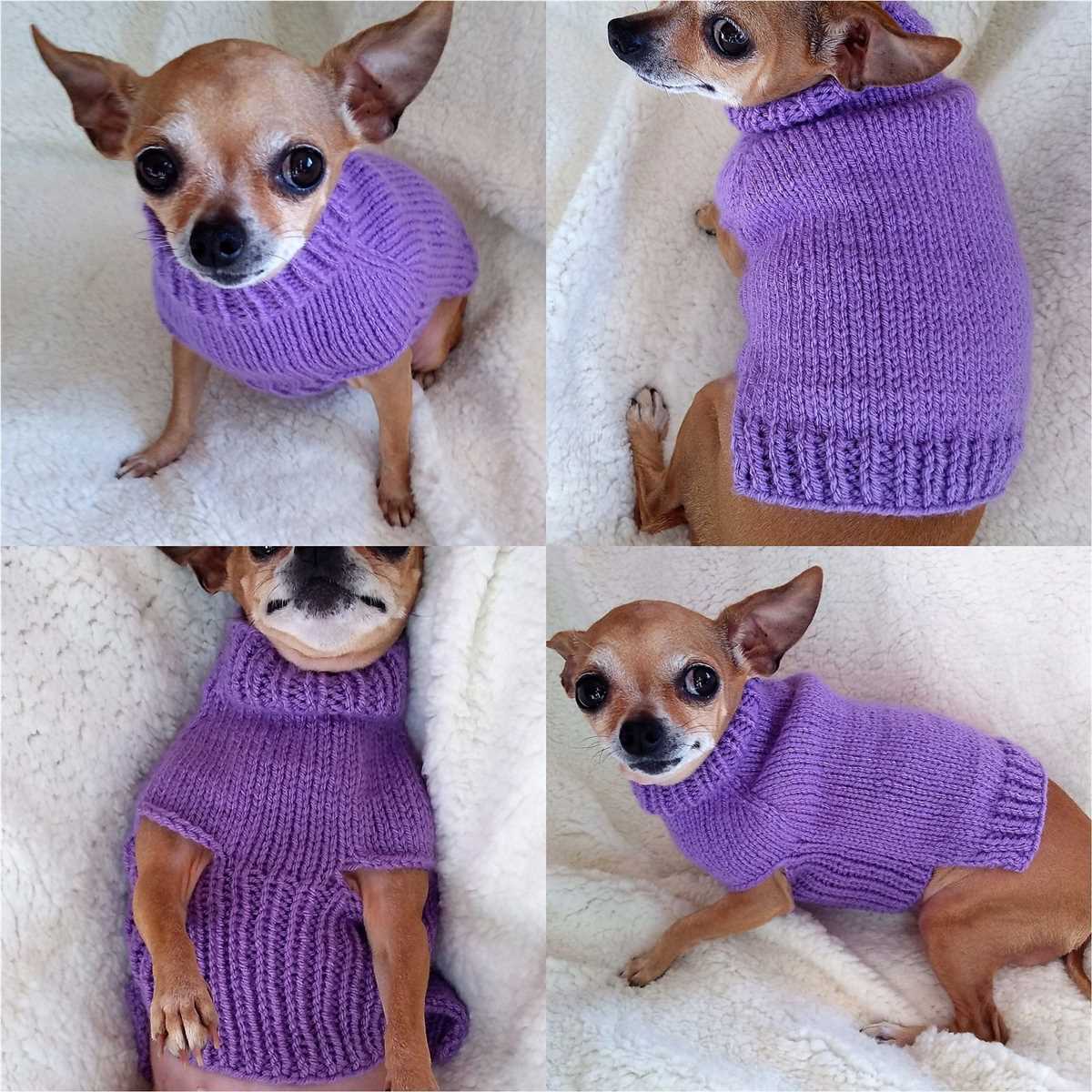 Knitted chihuahua sweater patterns