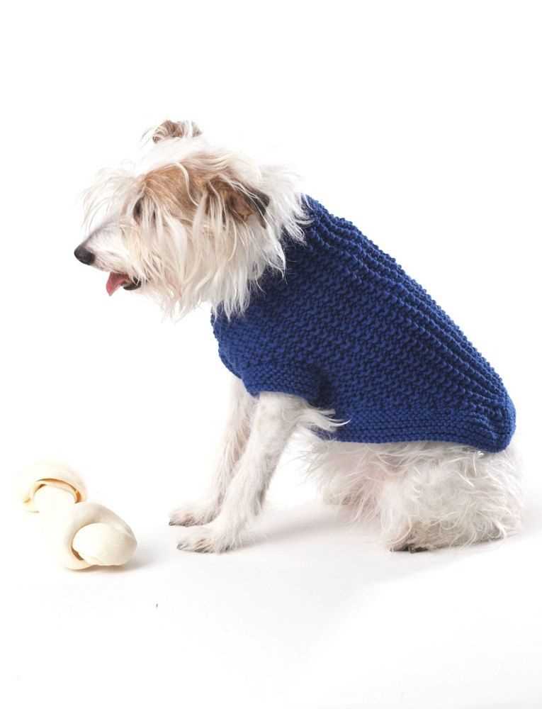Knitted puppy sweater pattern